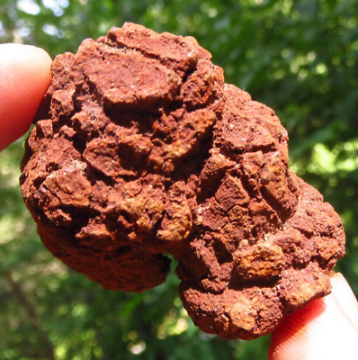 #ad COPROLITE POWERFUL GROUNDING FOSSIL NATURAL FOSSILIZED DINOSAUR DUNG *3 $30.00