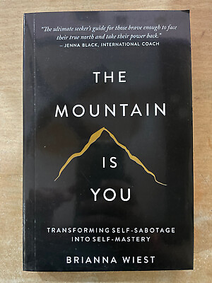 #ad The Mountain is You By Brianna Wiest USA Stock Premium Quality Free Shipping $9.99