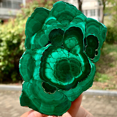 #ad 315G Natural glossy Malachite transparent cluster rough mineral sample $168.30