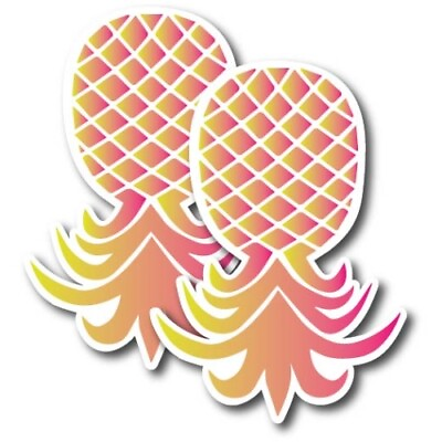#ad Upside down Pineapple Magnet Decal Pink and Yellow 4x6 Inch 2 Pack $10.99