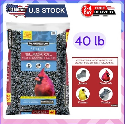 #ad Select Black Oil Sunflower Seed Wild Bird Feed 40 lb. Bag $19.98