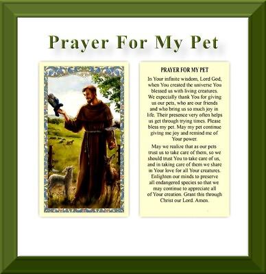 #ad Prayer for My Pet Blessing Prayer for Your Furry Faithful Friends Holy Card $0.99