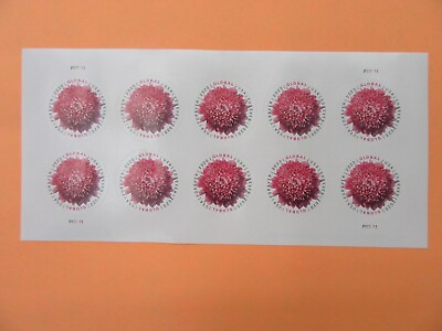 #ad 10 USPS 2020 Global Forever Stamps Chrysanthemum Peel amp; Stick 1 Sheet of 10 $10.00