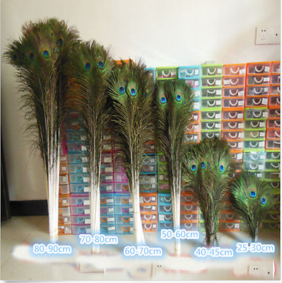 #ad Wholesale 10 100pcs 10 40 inches 25 100 cm Beautiful Peacock Feathers Eyes $35.14