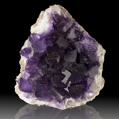 #ad 5.2quot; Purple Violet Cubic FLUORITE Sharp Crystals to 1quot; Muzquiz Mexico for sale $68.25