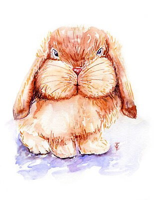 #ad ORIGINAL Art Watercolor painting Bunny Rabbit Hare Pet Artwork Animal 8x10quot; $64.00