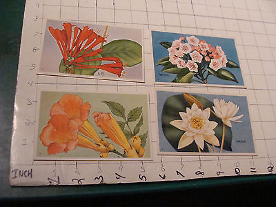 #ad Postcards: 4 National Wildlife WILDFLOWER SERIES very cool art by WEBER $32.26