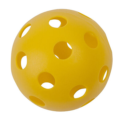 #ad Champion Sports Plastic Soft Ball Each $6.99