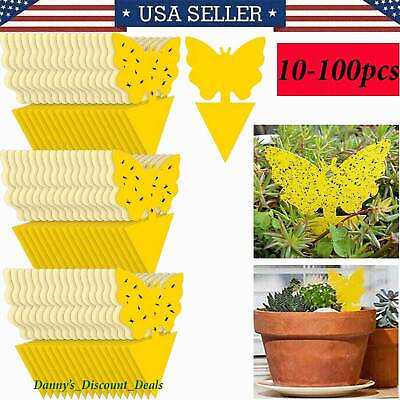 #ad 10 100pcs Sticky Fruit Fly Traps Fungus Gnat Killer Trap use for Indoor Outdoor $3.99