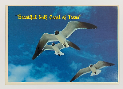 #ad Seagulls and Blue Sky of the Gulf Coast of Texas Postcard Unposted $6.99