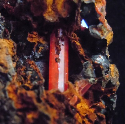 #ad CROCOITE CRO4 12 Mineral from Red Lead Mine Tasmania $31.15