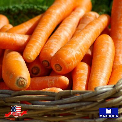 #ad 1000 Carrot Seeds Tendersweet Non GMO Heirloom Vegetable Garden BOGO 50% OFF $2.99
