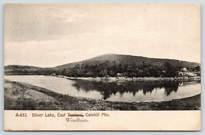 #ad East Windham New York Catskill Mountains Trees Reflect in Silver Lake 1909 $8.00