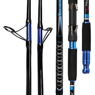#ad Saltwater Fishing Rod Carbon Fiber Jigging Rod with 2 Piece Twin Tip Spinning $62.87