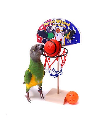 #ad Birdie Basketball Teach Your Parrot to Play Basketball Trick Training Toy $29.99