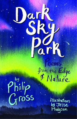 #ad Philip Gross Dark Sky Park Paperback UK IMPORT $13.29