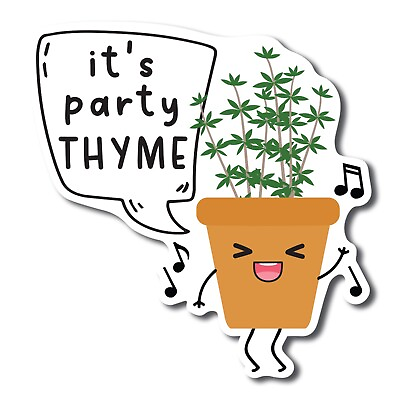#ad It#x27;s Party Thyme Cute Funny Plant Succulent Magnet Decal 5 inches $7.99