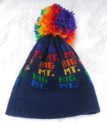 #ad Aspen Colorado Big Mt Ski Hat knit stocking cap blue winter pom beanie Vtg 70s $24.50