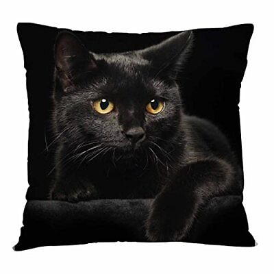 #ad IBILIU Cute Black Cat Throw Pillow Covers 18X18Black Kitten Kitty Linen Burla $13.83