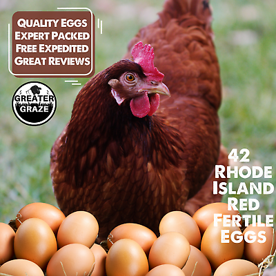 #ad 42 Rhode Island Red Hatching Eggs: Fresh Fertile Natural Unmixed Pasture Raised $89.98
