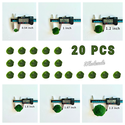 #ad 20PCS Multiple Size Moss Ball Pet Bulk Sale Japanese Algae Ball Wholesale $216.99