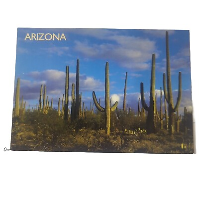 #ad Postcard Arizona AZ Saguaro National Monument Bill Daniels Cactus Desert 12.2.37 $3.25