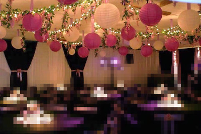 #ad 9x 30cm hot pink white paper lanterns engagement wedding party hang decoration AU $29.65