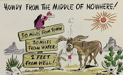 #ad Postcard Howdy From the Middle of Nowhere Novelty Mule Vulture Funny Donkey $6.00