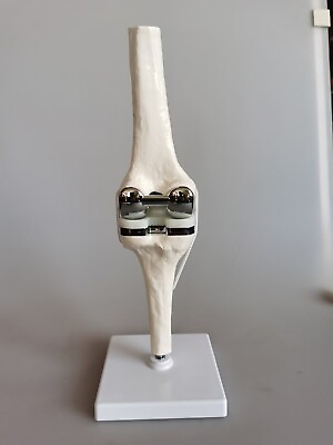 #ad 1:1 Artificial knee joint Medical Anatomical Skeleton demo model $108.80