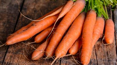 #ad Carrot Seeds Bolero USA Grown Non Gmo $15.05