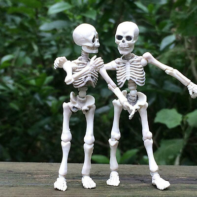 #ad Movable Mr. Bones Skeleton Human Model Skull Full Body Mini Figure Toy Halloween $8.42