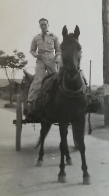 #ad Korean War Era U.S. Military Soldier On Horse quot;Spikequot; September 1951 PHOTO $7.95