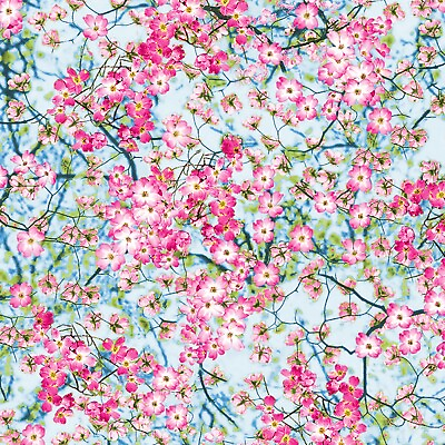 #ad Fabric Flowers Cherry Blossoms Pink Cotton TIMELESS TREASURES 1 4 yard 2763 $2.99