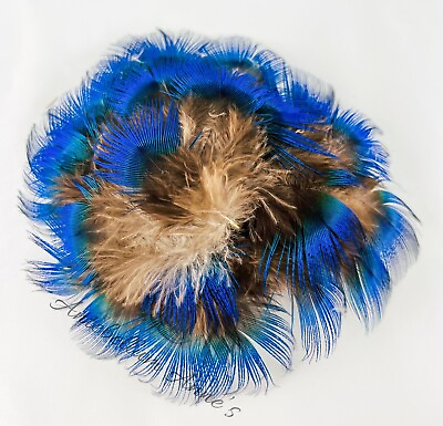 #ad New Zealand Ethically Sourced Wild Male Peacock Electric Blue Feather Bundle $16.99