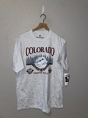 #ad 1990s Vintage CO Colorado Crested Butte Ski Skiing Winter Gray Shirt 90s VTG L L $30.00