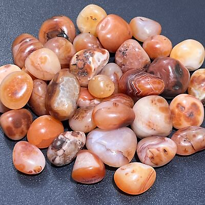 #ad Carnelian Red Agate Tumbled 1 LB One Pound Bulk Wholesale Lot Polished Natural $11.78