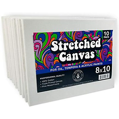 #ad 10 Pack Stretched Canvas for Painting Blank Art Canvases for Paint $31.19