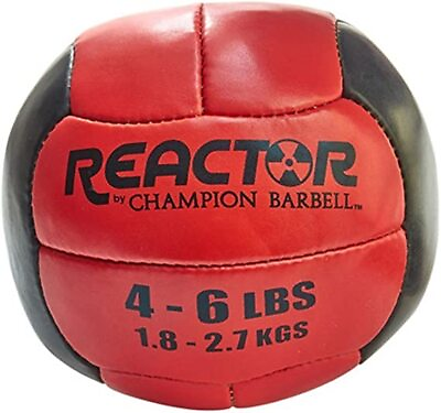 Champion Barbell Medicine Balls functional strength fitness amp; endurance gym $35.99
