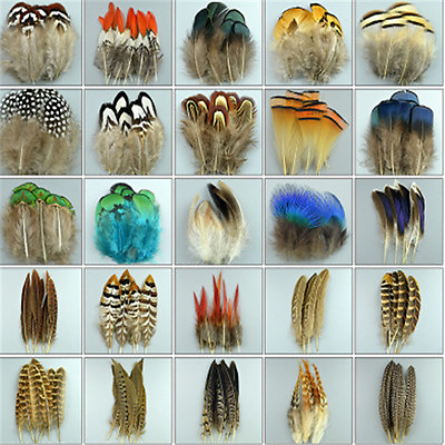 #ad Wholesale 10 100PCS Beautiful Chicken Tail peacock feathers 3 20cm 2 8inches $79.99