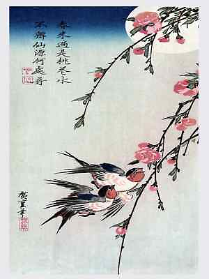 #ad Decoration Poster.Interior design.Room art.Japan.Japanese birds.Asia.7352 $60.00
