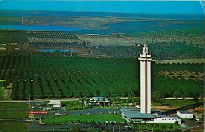 #ad Vintage Postcard Clermont Florida Citrus Tower Tourist Attraction Lake County FL $3.98