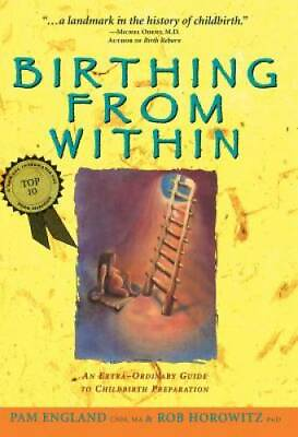 #ad Birthing from Within: An Extra Ordinary Guide to Childbirth Preparation GOOD $5.55