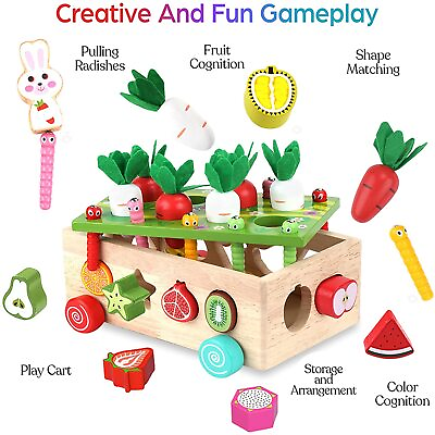 Toddlers Montessori Wooden Educational Toys for Baby Boys Girls Age 2 3 4 Yr Old $43.99