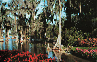 #ad Postcard Florida Cypress Gardens Winter Haven c1973 Lake Eloise FL $6.99