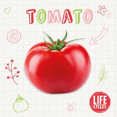 #ad Kirsty Holmes Tomato Paperback Life Cycles $10.80