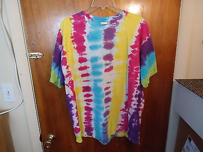 #ad Gildan Adult Size XL Muti Color Painted Type Of Shirt quot; GREAT SHIRT quot; $11.99
