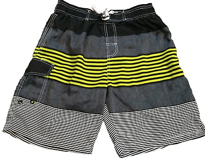 #ad Men#x27;s Taylor Pal Love Mesh Lined Black Stripe Swim Shorts Large $11.99