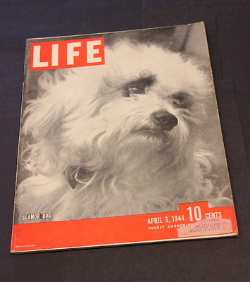 #ad LIFE MAGAZINE APRIL 3 RD 1944 GLAMOR DOG $19.99
