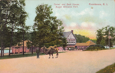 #ad #ad Postcard Camel Boat House Roger Williams Park Providence RI Rhode Island $20.00