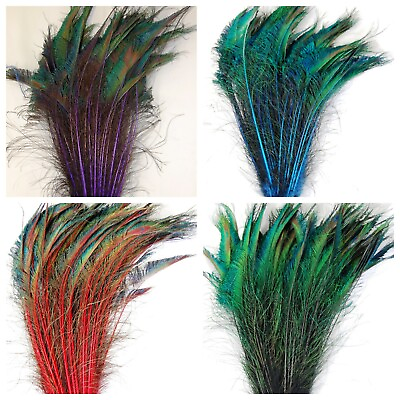 #ad Dyed Feather PEACOCK SWORDS 10 25quot; In Many Colors; Costume Hats Halloween $19.99